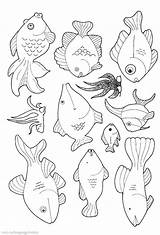 Colouring Educative Getdrawings Aquarium sketch template