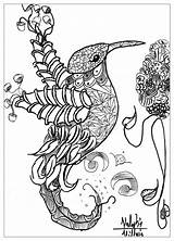 Coloring Pages Animal Animals Bird Adults Printable Complex Abstract Adult Detailed Valentin Birds Print Mandala Kids Cat Popular Nature Comments sketch template