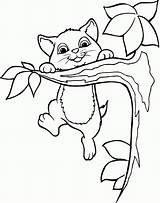 Tree Cat Coloring Pages Clipart Branches Sitting Branch Friends Trees Colouring Clip Happy Kids Cliparts Climbed Cats Color Sheets Animal sketch template