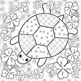 Turtle Schildpad Tuin Kleurplaten Volwassen Hemel Kleur Klaver sketch template