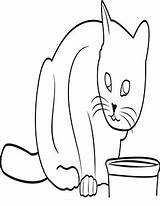 Katze Katzen Ausmalbild Trinken Schlafende Ausdrucken Dicke Junge Malvorlage Weisse sketch template