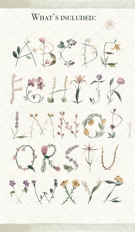botanical alphabet letters clipart set etsy