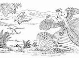 Archaeopteryx Coloring Microraptor Pages Compsognathus Gliding Coloringpagesonly sketch template