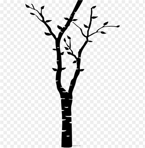 Birch Tree Coloring Page