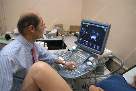 transvaginal ultrasound stock image  science photo library