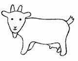 Coloring Goat Goats Coloringcrew Pages sketch template