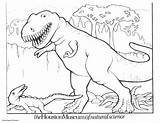 Dinosaur Coloring Pages Kids Printable Rex Color Dinosaurs Print Trex Drawing Colouring Sheets Carnotaurus Triceratops Boys Cartoon Bestcoloringpagesforkids Getdrawings Valentine sketch template