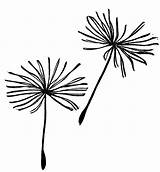 Dandelion Drawing Blowing Clipart Seed Clipartmag Auswählen Pinnwand sketch template