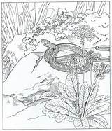 Coloring Pages Nature Around House Kids Swamp Fun Animals Natuur Slang Choose Board Getcolorings Animal Kleurplaat Snake sketch template