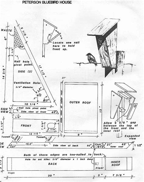 printable peterson bluebird house plans