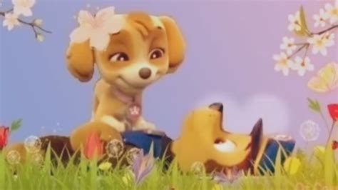 Skye And Chase Paw Patrol Images Skye X Chase Pics Hd