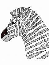 Zentangle Zebra Coloring Pages Tattoo Drawn Hand Adults Style Stock Book Logo Animal Vector Adult Shirt Color Printable Illustrations Tribal sketch template