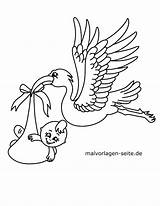 Storch Malvorlage Malvorlagen Geburt Ooievaar Stork Kleurplaat sketch template