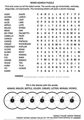 word search puzzle  adults  printable puzzle games