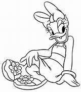 Disney Coloring Pages Daisy Duck Walt Marguerite Characters Fanpop Designlooter Fond Personnages écran Called sketch template
