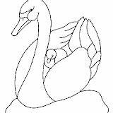 Swan Coloring sketch template