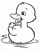 Duckling Coloring Pages Baby Getcolorings sketch template