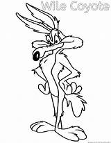 Coloring Pages Coyote Roadrunner Wile Runner Road Clipart Popular Library sketch template