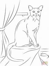 Blue Russian Cat Coloring Pages Printable Supercoloring Cats Drawing Color Chat Book Print Tabby Kids Dot Family sketch template