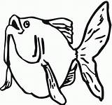 Goldfish Coloring Pages Printable Kids Fat sketch template