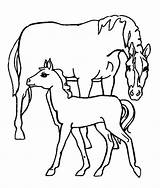 Dieren Horse Lovas Animals Veulens Paardjes sketch template