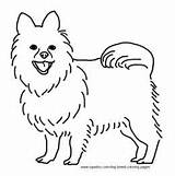 Pomeranian Coloring Pages Dog Puppy Breed Printable Book Kids Sheets Puppies Xyz Christmas Print Template sketch template