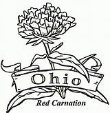Ohio Coloring State Pages Brutus Buckeye Flower Drawing Band Carnation Printable Mistletoe Supercoloring Buckeyes Football Michigan Bow Pennsylvania Majorette Mariachi sketch template