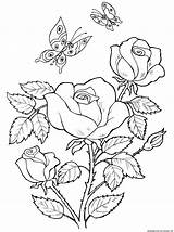 Coloring Plants Flowers Roses Pages Flower Coloriage Tulip Narcissus Blumen sketch template