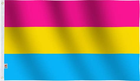 Rhunt Pansexual Flag 3x5ft Lgbt Pansexuality Omnisexuality Pride