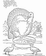 Coloring Turkey Farm Animal Pages Animals Realistic Printable Kids Print Turkeys Adult Older Color Thanksgiving Sheets Clipart Wild Children Different sketch template