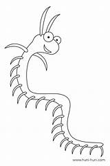 Centipede sketch template