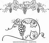 Weintrauben Grape Weinrebe Vines піна походження Fensterbilder Muster Schablonen вишивка sketch template