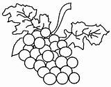 Coloring Grapes Grape Fruit Drawing Pages Boyama Ilgili Canned Food Clipart Fruits Sayfaları Clipartmag sketch template