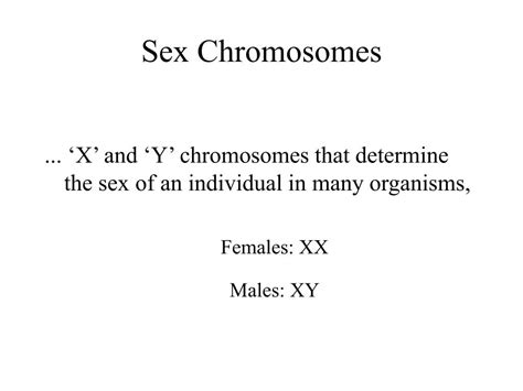 ppt sex chromosomes powerpoint presentation id 6743403