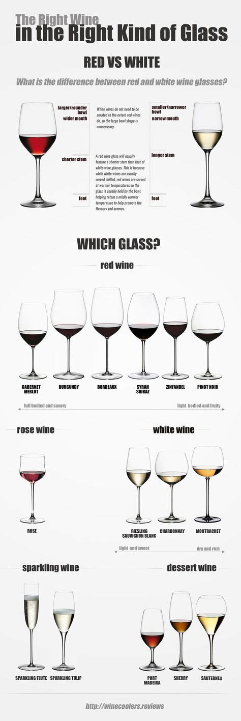 The Right Wine In The Right Kind Of Glass Infographic Types Of Wine