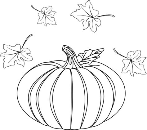 pumpkin coloring page thanksgiving pumpkin pumpkin coloring pages