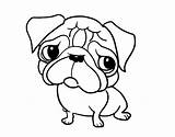 Pug Coloring Pages Cute Adult Colorear Para Pugs Printable Color Dog Kids Coloringcrew Print Dogs Dibujo Getcolorings Book Con sketch template