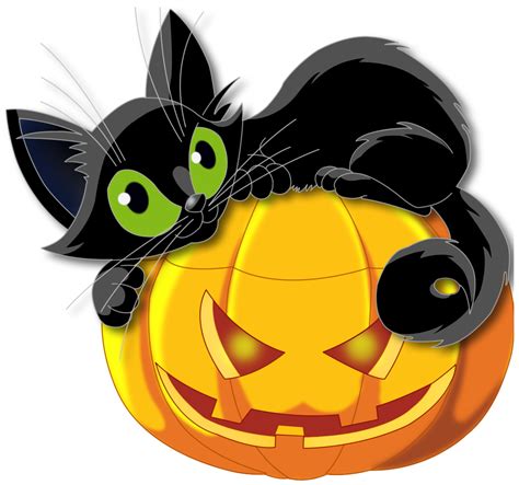 cute halloween cat   cute halloween cat png images