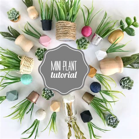 mini adventures  mini plant tutorial mini plants decor