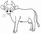 Cow Drawing Line Beef Paintingvalley Getdrawings sketch template