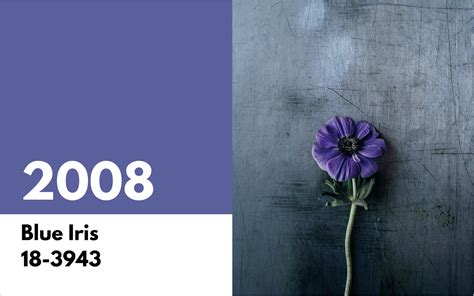 blue iris  pantone color   year  support visme