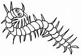 Centipede Coloring Pages sketch template