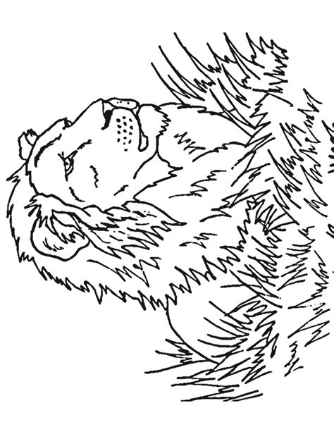 big cat coloring pages  kids   adults coloring home