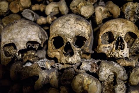 free images paris france nikon dead skull bone places 2015 publicdomain bones d750