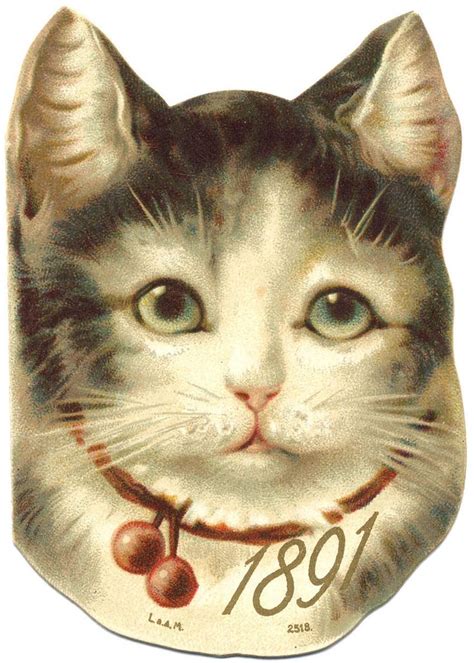 images  vintage cats  pinterest