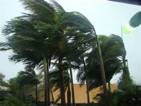 kimberley coast pounded  cyclone billy abc kimberley wa australian broadcasting corporation
