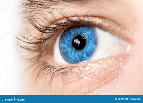 blaues augen makro stockbild bild von fokus sehvermoegen