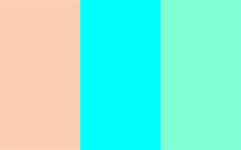 aqua colored wallpaper wallpapersafari solid color backgrounds