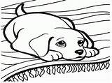 Coloring Dog Pages Animal Faithful Sheets Dogs Two sketch template
