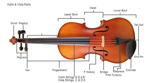 parts   violinviola musical instrument hire